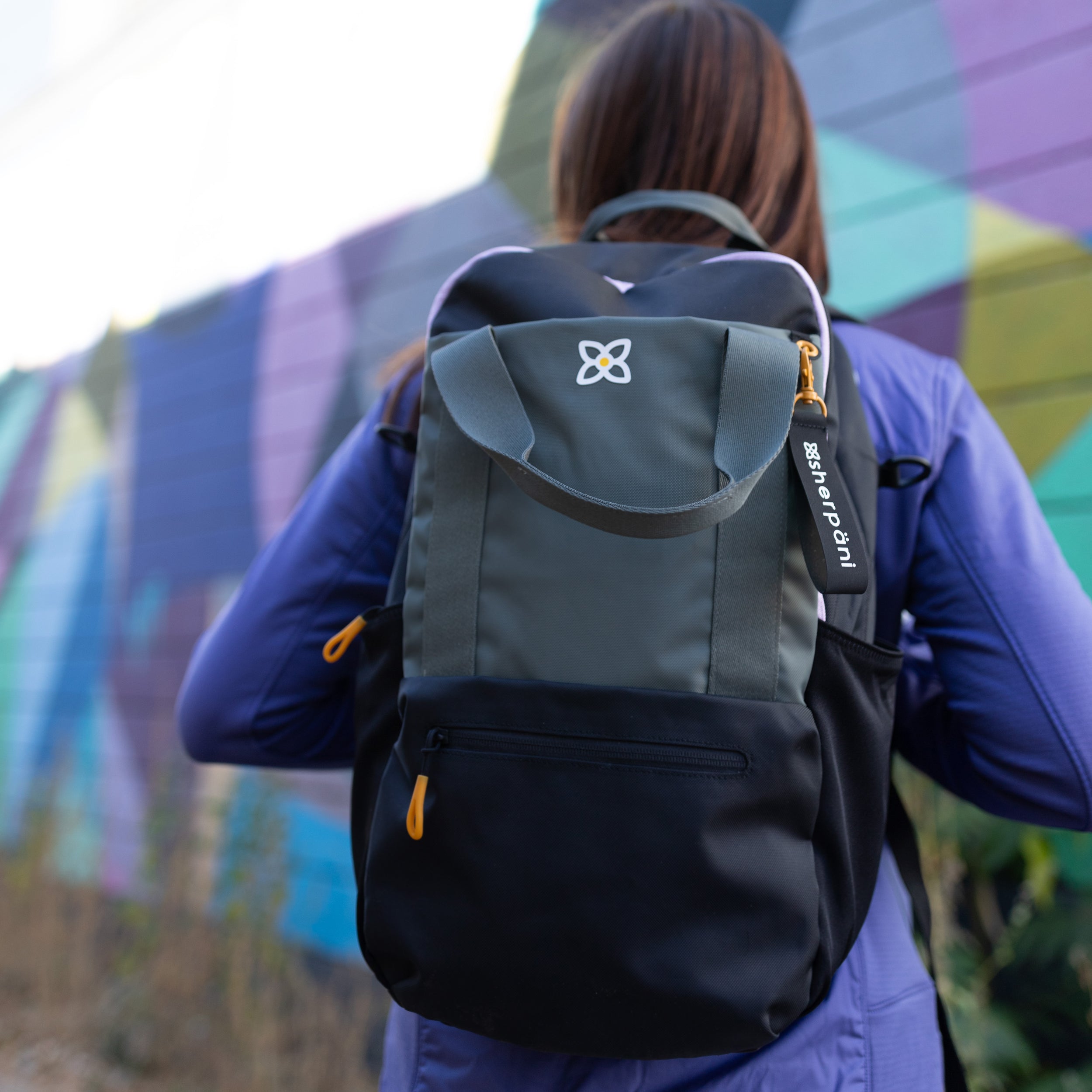 Sherpani Camden | Convertible Backpack